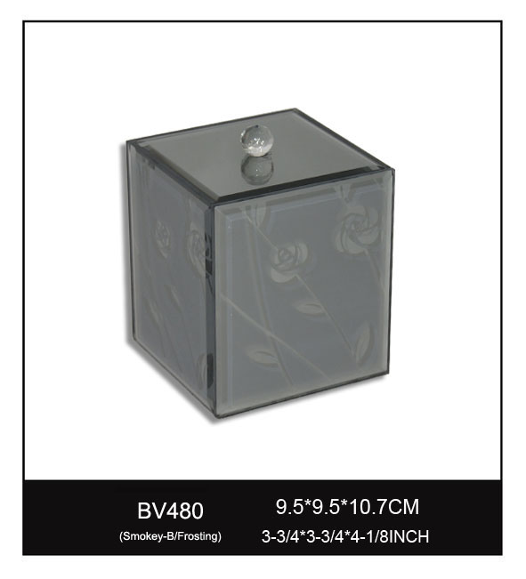 BV480